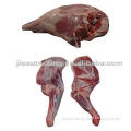 Lamb Shoulder and Leg